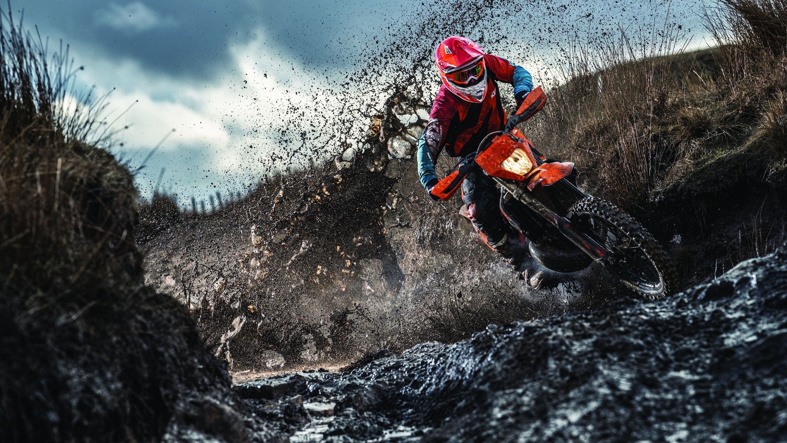 F1赛车赛场焦点！比利时队对阵中国队，连胜纪录继续刷新，球队势不可挡